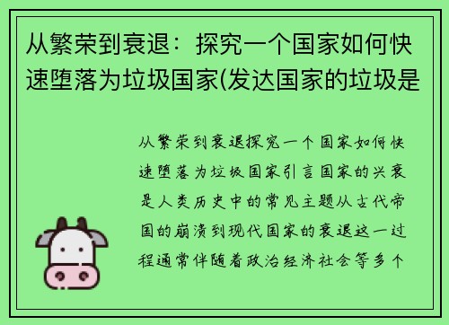 从繁荣到衰退：探究一个国家如何快速堕落为垃圾国家(发达国家的垃圾是怎么处理的)